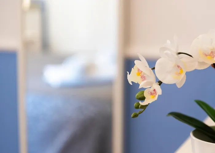 Gasthof San Pietro Holidays 4*